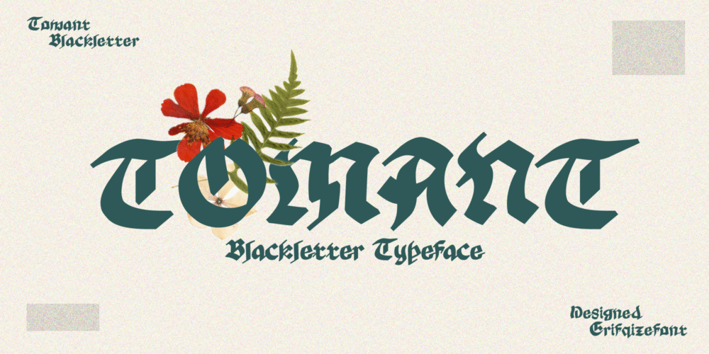 Tomant Blackletter Font